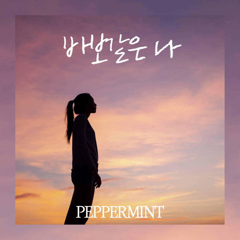 바보같은 나 (feat. 앨리샤)