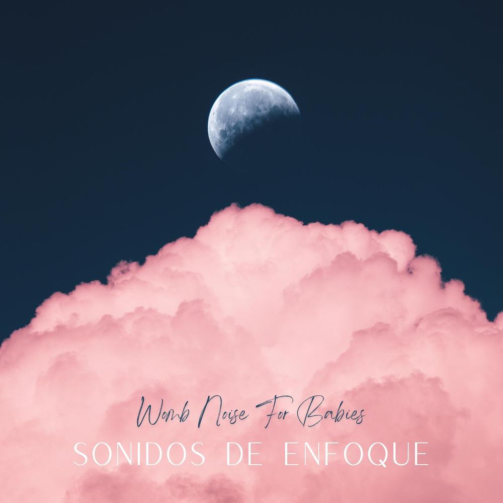 Womb Noise For Babies