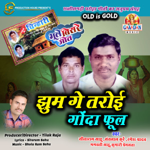 Listen to Jhum Ge Taroi Gonda Phool song with lyrics from Sitaram Sahu