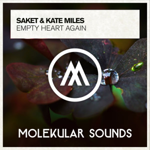 Album Empty Heart Again from Saket