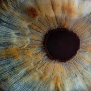อัลบัม Talking With Your Eyes ศิลปิน Chris Jobe