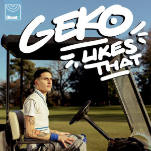 ดาวน์โหลดและฟังเพลง Likes That พร้อมเนื้อเพลงจาก Geko
