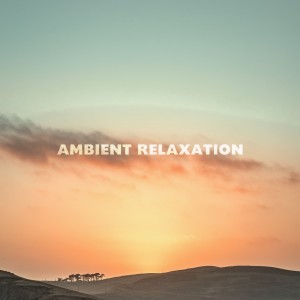 Ambient Relaxation的專輯Calm