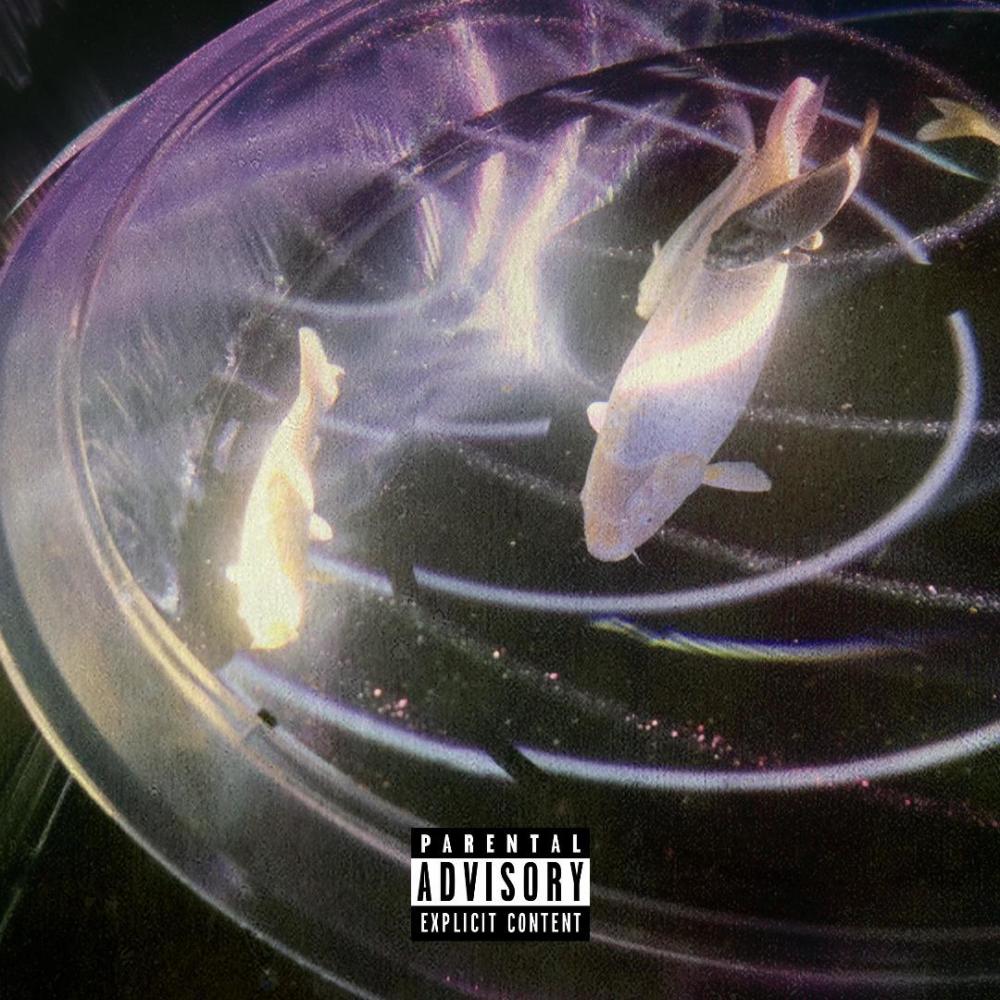Circumstances (Explicit)