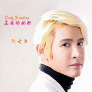 Listen to 亲爱的奶奶 (伴奏) song with lyrics from 阿古力