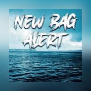 GuddaBoy Chubz的專輯New Bag Alert (feat. Big June) (Explicit)