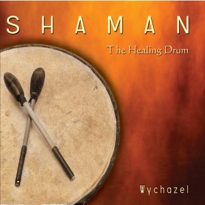 ดาวน์โหลดและฟังเพลง Heartbeat พร้อมเนื้อเพลงจาก Wychazel