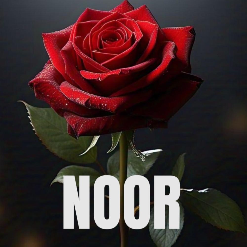 Noor