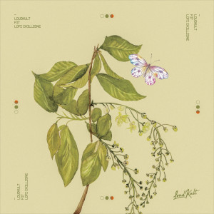 ดาวน์โหลดและฟังเพลง Lofi Chillzone พร้อมเนื้อเพลงจาก Fit