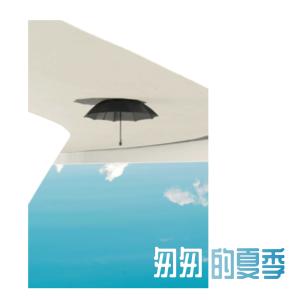 Listen to Wan Liu song with lyrics from 小枫