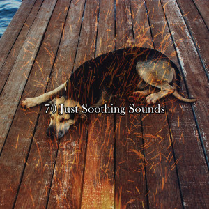 Album 70 Just Soothing Sounds oleh Ocean Sounds Collection
