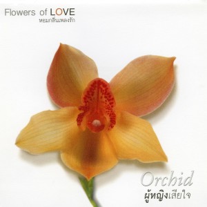 ดาวน์โหลดและฟังเพลง ยิ้ม ยิ้ม (其他) พร้อมเนื้อเพลงจาก อ้น ศรีพรรณ