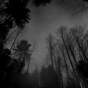 收聽CATVLYST的Evocation歌詞歌曲