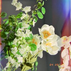 อัลบัม stay by my side ศิลปิน Sojou Kim