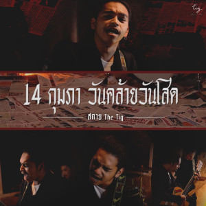 收听สกาย The Tig的14 กุมภา(วันคล้ายวันโสด)歌词歌曲
