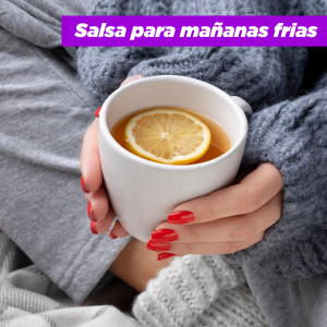 Various的專輯Salsa para mañanas frías