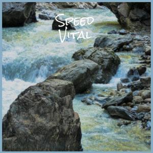 Listen to Ft Fungal song with lyrics from Zado