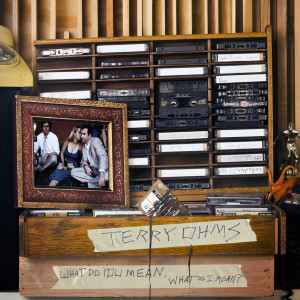 收听Terry Ohms的Buy You a Drink歌词歌曲