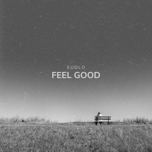 Listen to Feel Good song with lyrics from Eudlo