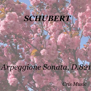 Theo van der Pas的專輯Schubert: Arpeggione Sonata, D.821