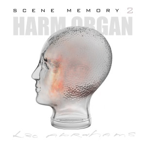 Album Harm Organ from Leo Abrahams