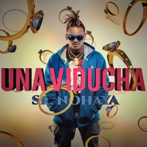 收听Sr. Nohaya Denver的Una Viducha歌词歌曲