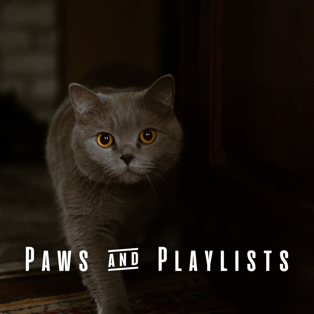 Jazzy Playtime Whispers