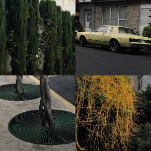 Listen to Del Nuevo Mundo song with lyrics from Hacienda