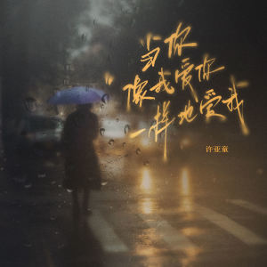 Album 当你像我爱你一样地爱我 from 许亚童