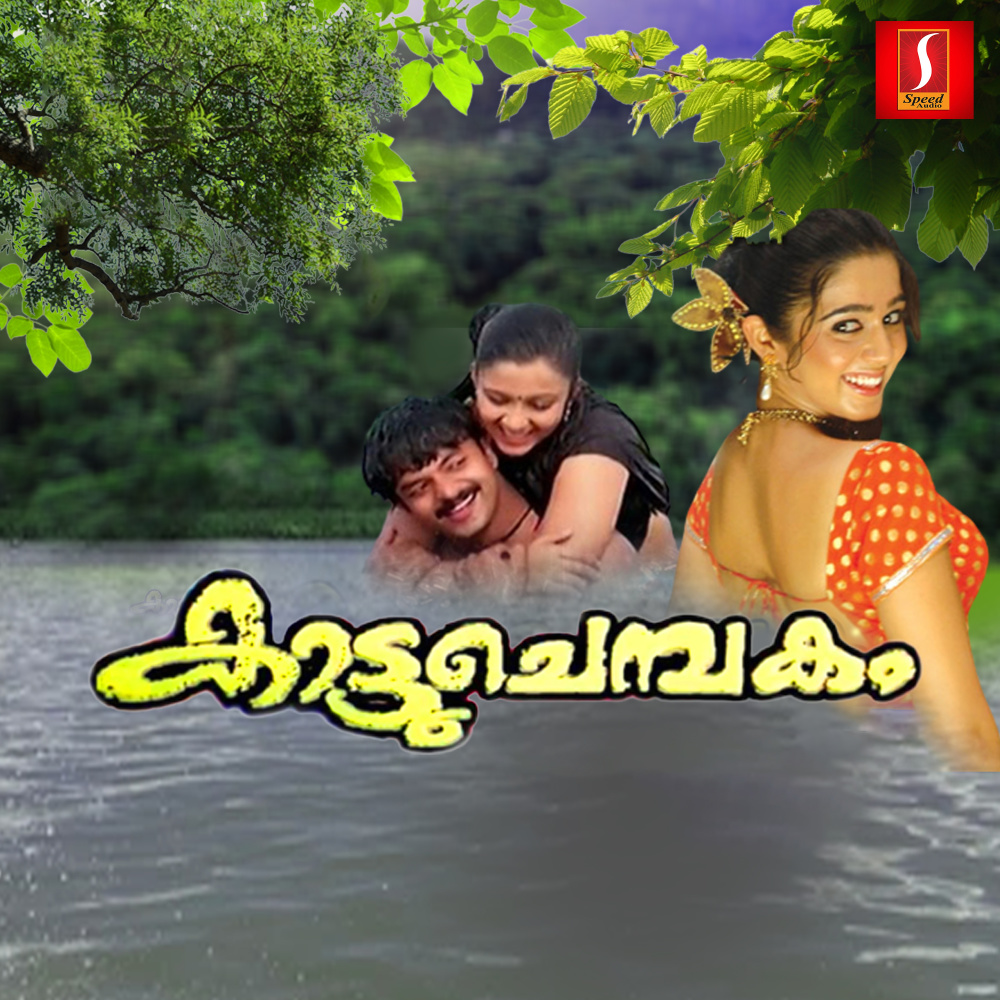 Vellaaram Kunnukalil