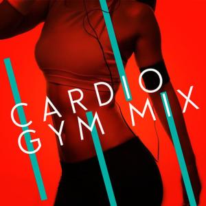 อัลบัม Cardio Gym Mix ศิลปิน Cardio Music
