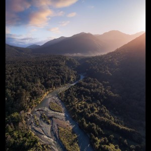 Listen to Forest Meditation song with lyrics from Relajacion Del Mar