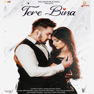 Listen to Tere Bina song with lyrics from Amit Mishra