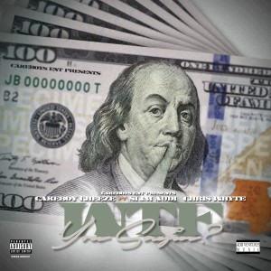 ดาวน์โหลดและฟังเพลง WTF You Sayin (Explicit) พร้อมเนื้อเพลงจาก Cakeboy Cheeze