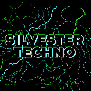 อัลบัม Silvester Techno (Explicit) ศิลปิน Various