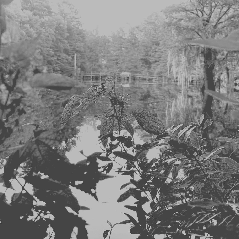 Hidden Subject Archive Episode Y