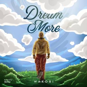 อัลบัม Dream More ศิลปิน 