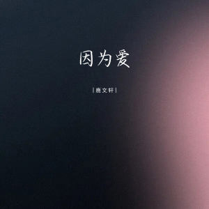 Album 因为爱 from 鹿文轩