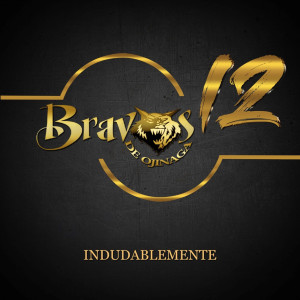 收聽Bravos de Ojinaga的Al Mismo Nivel歌詞歌曲