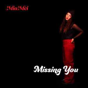 MiaMei的专辑Missing You