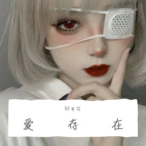 收听DJ可芯的爱很美（DJ版）歌词歌曲