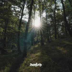 Dengarkan lagu Reach nyanyian Selkie dengan lirik