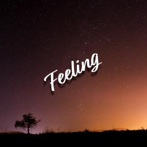 Dengarkan lagu Feeling nyanyian Navi dengan lirik