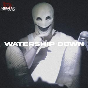 收聽Red Flag Music的Watership Down (feat. Aka-Dee & payZn) (Explicit)歌詞歌曲