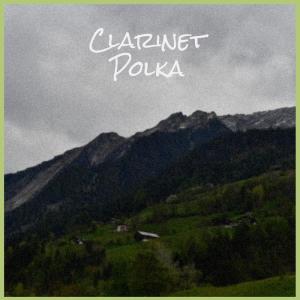 Various Artist的專輯Clarinet Polka