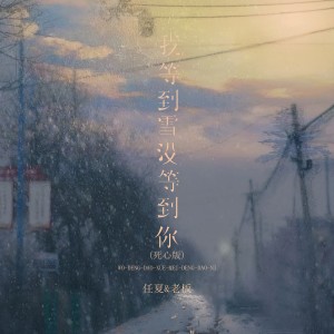 收聽任夏的我等到雪沒等到你 (死心版)歌詞歌曲