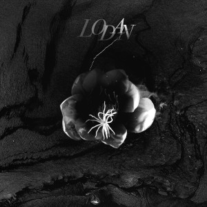 ดาวน์โหลดและฟังเพลง Rabbit Hole พร้อมเนื้อเพลงจาก Lodan