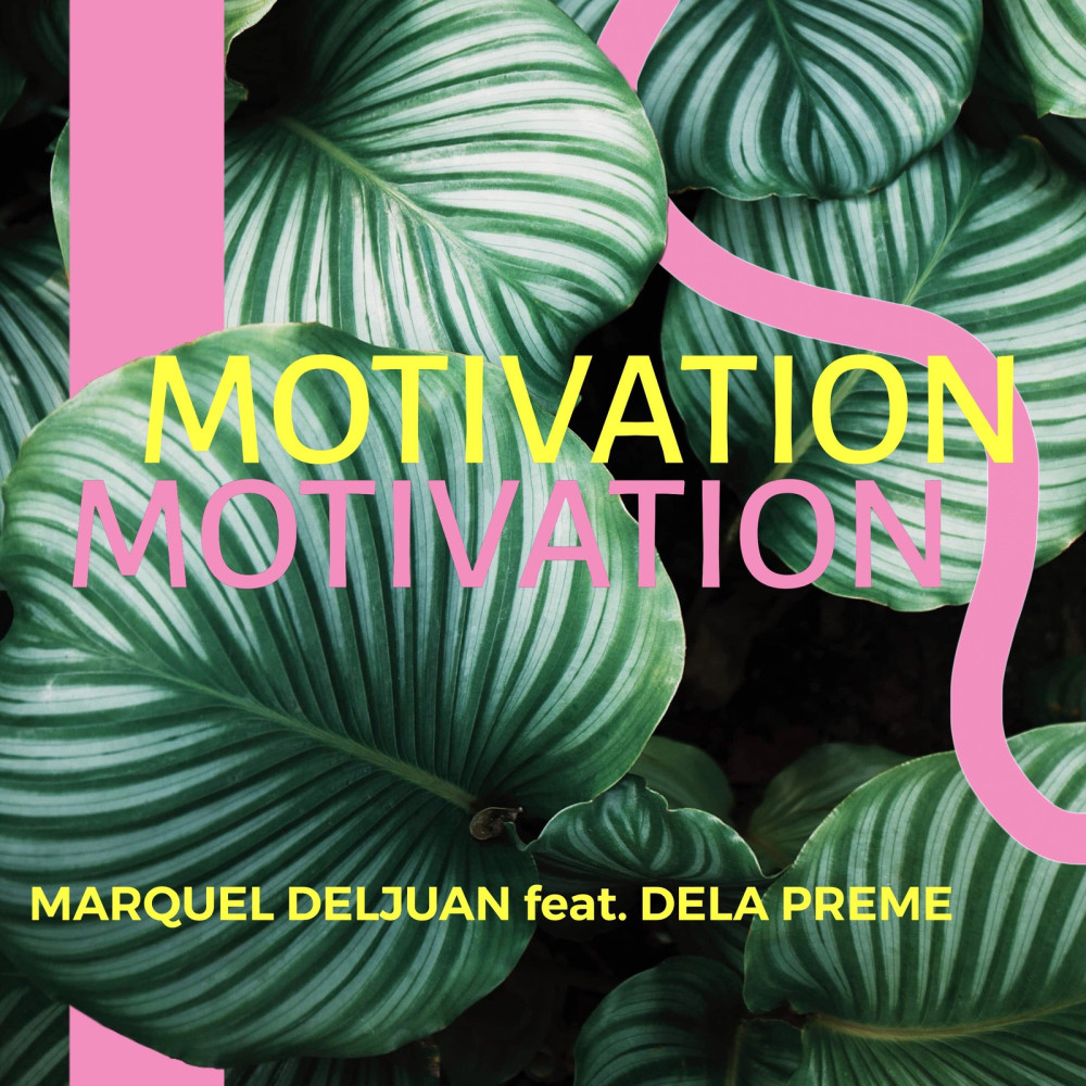 Motivation (Explicit)