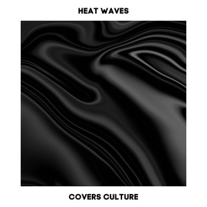 Heat Waves (Acoustic Covers Versions)
