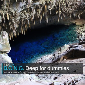Listen to Deep For Dummies (Elfsong 'D4deep' Remix) song with lyrics from B.O.N.G.
